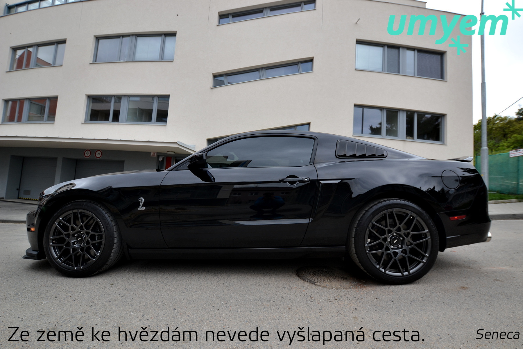 detailing_Brno_Shleby_GT500_umyem